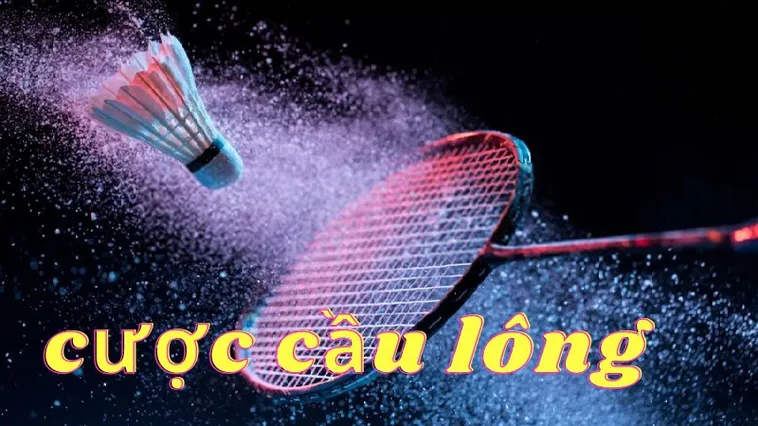 Hướng Dẫn Cá Cược Cầu Lông 69VN Thắng Lớn Dành Cho Người Mới