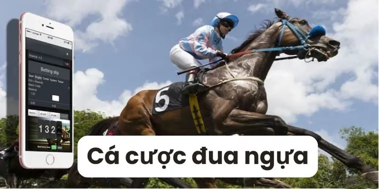 Khám Phá Cá Cược Đua Ngựa 69VN: Trải Nghiệm Giải Trí Thú Vị